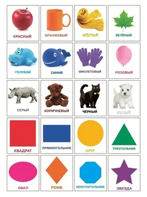 Карточки для детей развивающие обучающие Звуки животных - купить с  доставкой по выгодным ценам в интернет-магазине OZON (441819030)
