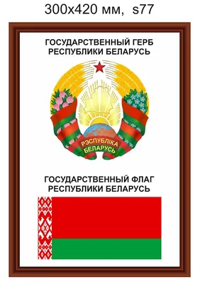Герб Республики Беларусь (оргстекло, пвх, каленое стекло) (ID#173977800),  цена: 30 руб., купить на Deal.by