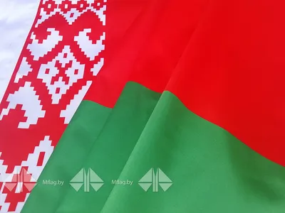Конституция Республики Беларусь в цифрах и фактах (ИНФОГРАФИКА)
