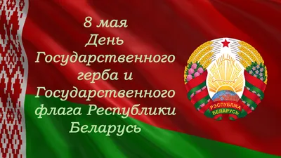 Чемпионат Республики Беларусь по флаг-футболу 2022 года » Американский  Футбол в Беларуси
