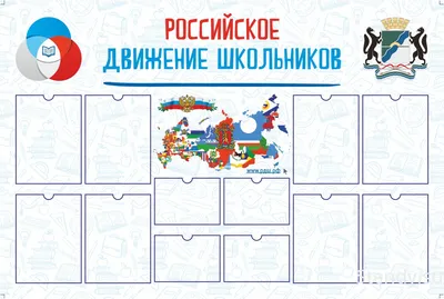 Школа №24 г.Новошахтинск - Российское движение школьников (РДШ)