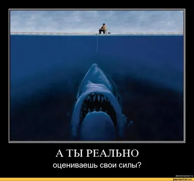 Вецкий Виктор Васильевич. Реальная цель и смысл Сво