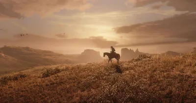 Saddle up, Red Dead Redemption 2 map leaks online | Stuff