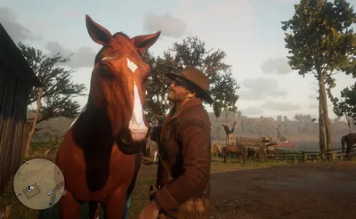 10 Secrets You Still Haven't Found In Red Dead Redemption 2's Map