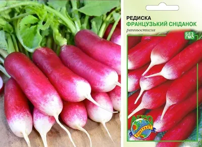 ТВОЙПРОДУКТ: Чтобы редиска стала добрее