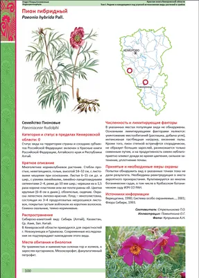 Растения, занесенные в Красную книгу Краснодарского края