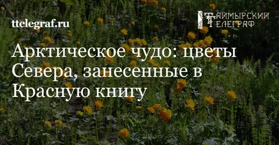 Занесенные в Красную книгу Московской области растения подлежат особой  охране
