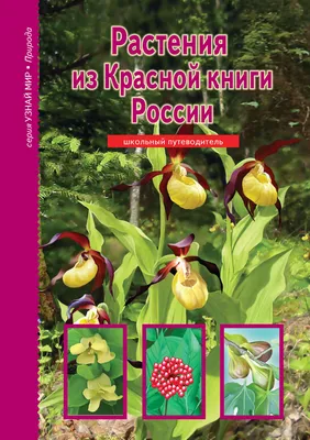 Редкая красота: исчезающие цветы из Красной книги России | блог интернет -  магазина АртФлора