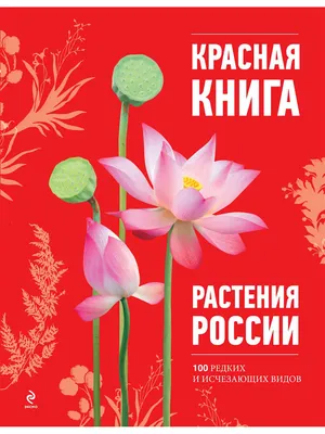 Редкие растения из Красной книги России | Истории от Виктории | Дзен