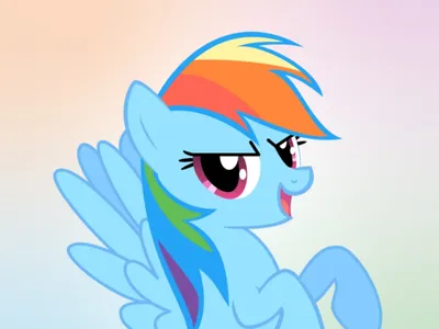 My Little Pony: Rainbow Dash's Double Dare: 9780316455343: Berrow, G. M.:  Books - Amazon.com