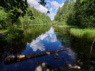 Обь. Большая российская энциклопедия