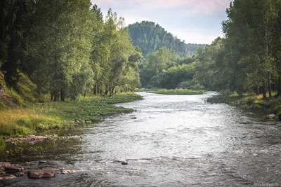 Река Красная