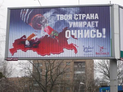 TMG | Реклама на транспорте в России