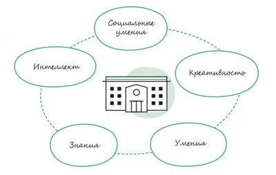 Планер/ Блокнот/ Карты клиентов косметолога А4 и бьюти рекомендации -  купить с доставкой по выгодным ценам в интернет-магазине OZON (1039554389)