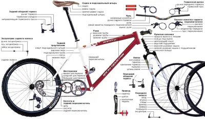 Техническое обслуживание велосипеда - Ультраспорт