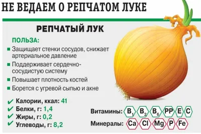 Лук репчатый. Энциклопедия магазина Диамарт