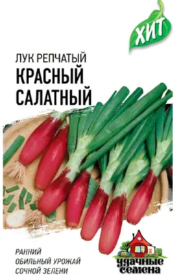 Лук репчатый органический, Эко-ферма Рябинки - купить с доставкой в Москве  и Обл Интернет-магазин органических продуктов | Рожь Да Лён