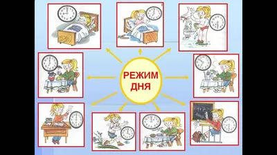 Расписания дня для школьника: как составить режим дня для ученика —  организация, советы родителям