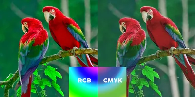 CMYK vs RGB: What color space should I work in? | MCAD Intranet