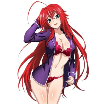 Дакимакура \"Риас Гремори / Rias Gremory\" - купить по выгодной цене |  Geekmagazin.ru - интернет-магазин вещей по аниме, фильмам, сериалам и играм