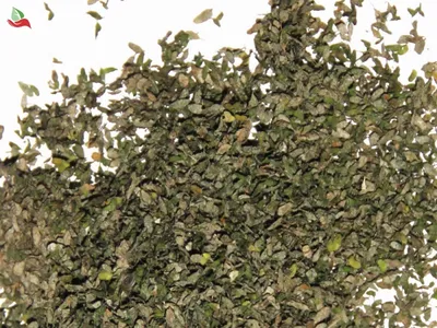 Ряска - купить лечебные травы недорого в интернет-магазине «Травы Горного  Крыма»