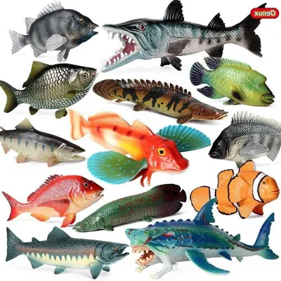 Oenux океанські тварини модель риби моделювання морського життя Целакант  Тілапія Окунь Лосось Короп фігурки Акваріум Освіта дитяча іграшка |  Іграшкові тварини | Індіго