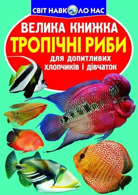 У водосховища трьох областей випустили 4 тонни молоді риби