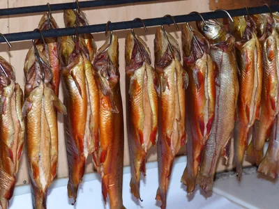 Які десять видів риби краще не їсти: харчування має бути безпечним |  GreenPost