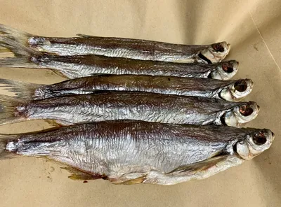 Підрив Каховської ГЕС: на Дніпропетровщині загинуло 850 кг риби