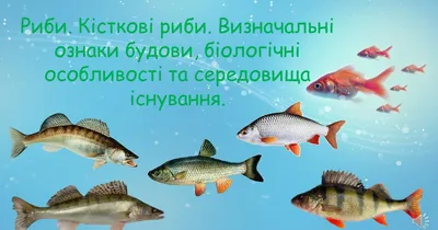 29 цікавих фактів про риб ᐈ faktypro.com.ua