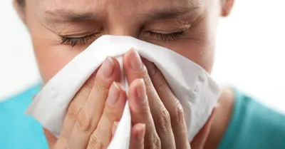 Доктор Тобиас - Аллергический ринит (насморк) – воспаление слизистой  оболочки полости носа, в основе которого лежит реакция  гиперчувствительности к определенным веществам.Обычно обострения приходят  на осенний и весенний сезоны 😷 Причины: У всех