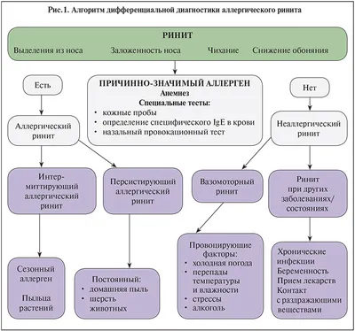 Ринит — (клиники Di Центр)