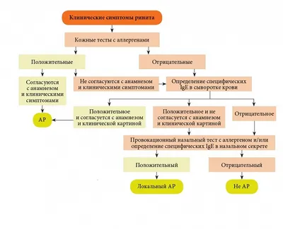 Ринит: виды, симптомы, причины, лечение у взрослых и детей