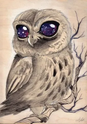 симпатичная сова с большими глазами кофейный рисунок. Иллюстрация штока -  иллюстрации насчитывающей усаживание, украшение: 223731258