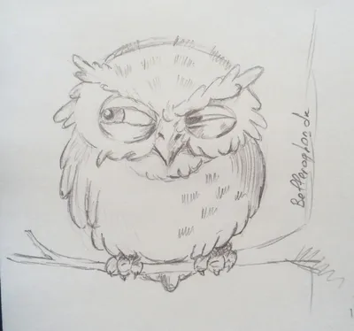 Как нарисовать сову. Простой рисунок. How to draw an owl. Simple drawing. -  YouTube