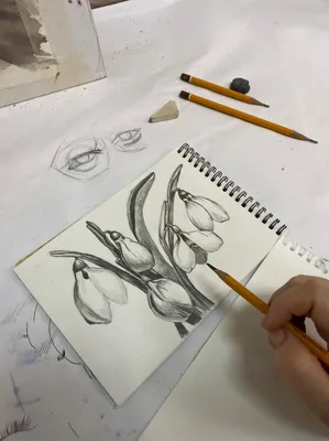 Курсы рисования карандашом для начинающих в Москве - обучение для взрослых  и детей
