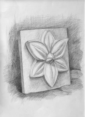 Как научиться рисовать цветок карандашом поэтапно?