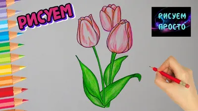 Как нарисовать ТЮЛЬПАНЫ К 8 МАРТА, Рисуем Просто, рисунки для  срисовки/683/How to draw TULIPS - YouTube