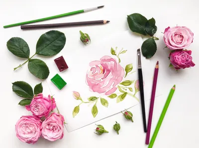 Мастер-класс: как нарисовать цветы в букете. Блог школы рисования