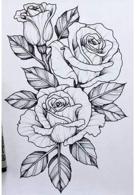 Как нарисовать вазу с цветами | Drawingforall.ru | Рисунки цветов,  Цветочная ваза, Нарисовать цветы