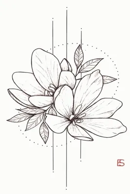 Рисунки цветов для срисовки (30 картинок)