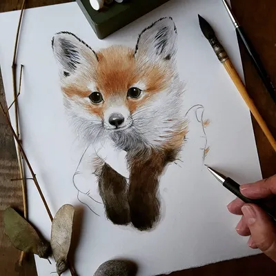 Как Нарисовать Милых Животных (60 Фото)