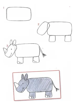 Поэтапное рисование карандашом животных для детей