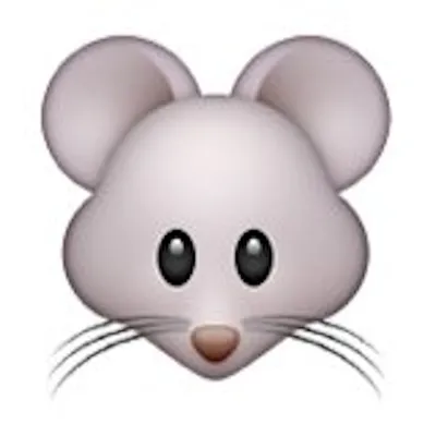 Мышь графика Иллюстрация, мышь, млекопитающее, животные png | PNGEgg