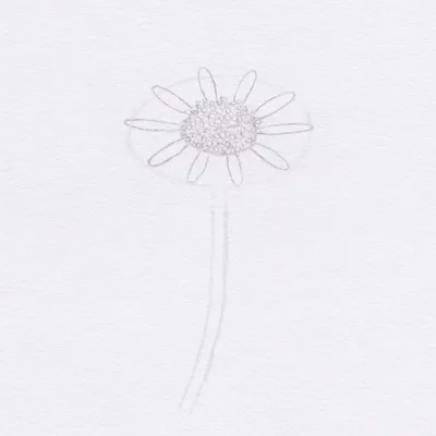 Красивые и простые рисунки карандашом цветов для начинающих (49 фото) »  рисунки для срисовки на Газ-квас.ком