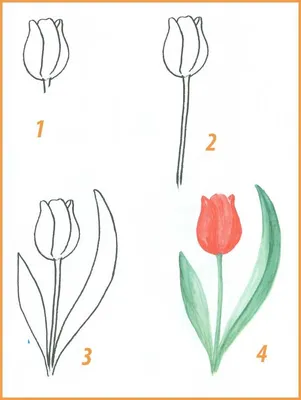 Рисунок цветы