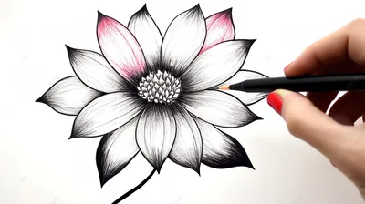 Легкий рисунок для срисовки цветы - 63 фото