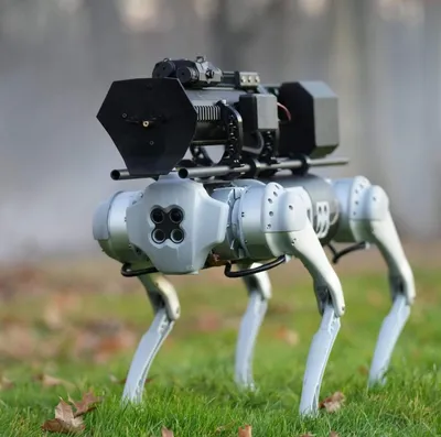 В МГУ создали робопса 2.0: на что способна отечественная новинка |  technovery