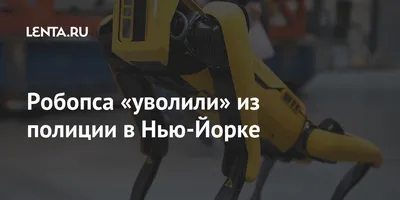 Foreign Policy: армия США передаст Украине робопса-сапера, разработанного  Boston Dynamics — Новая газета Европа
