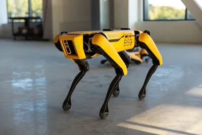 В Китае создан более дешевый аналог робопса Spot от Boston Dynamics | ИА  Красная Весна